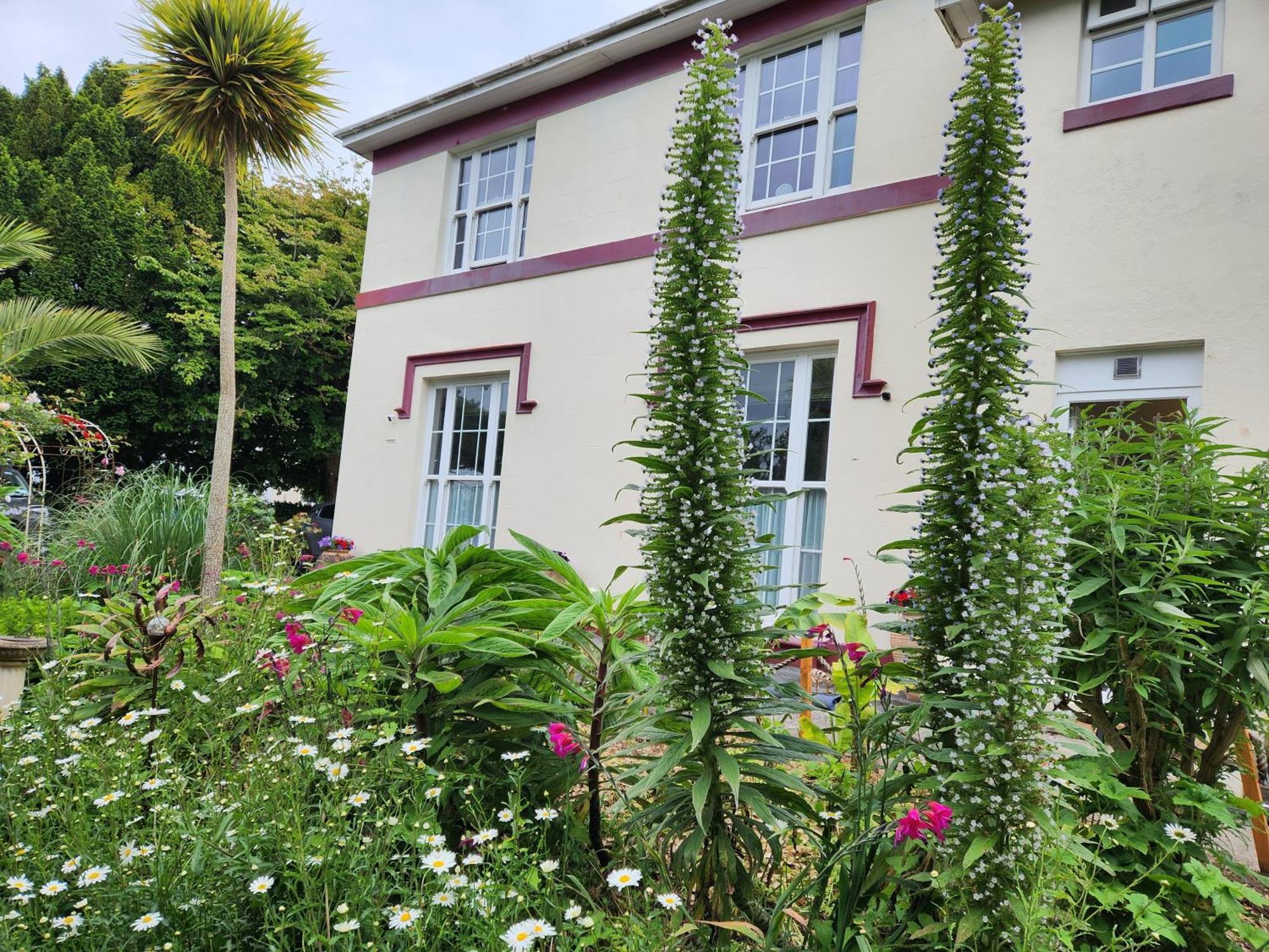 Rose Court Holiday Apartments Torquay Εξωτερικό φωτογραφία