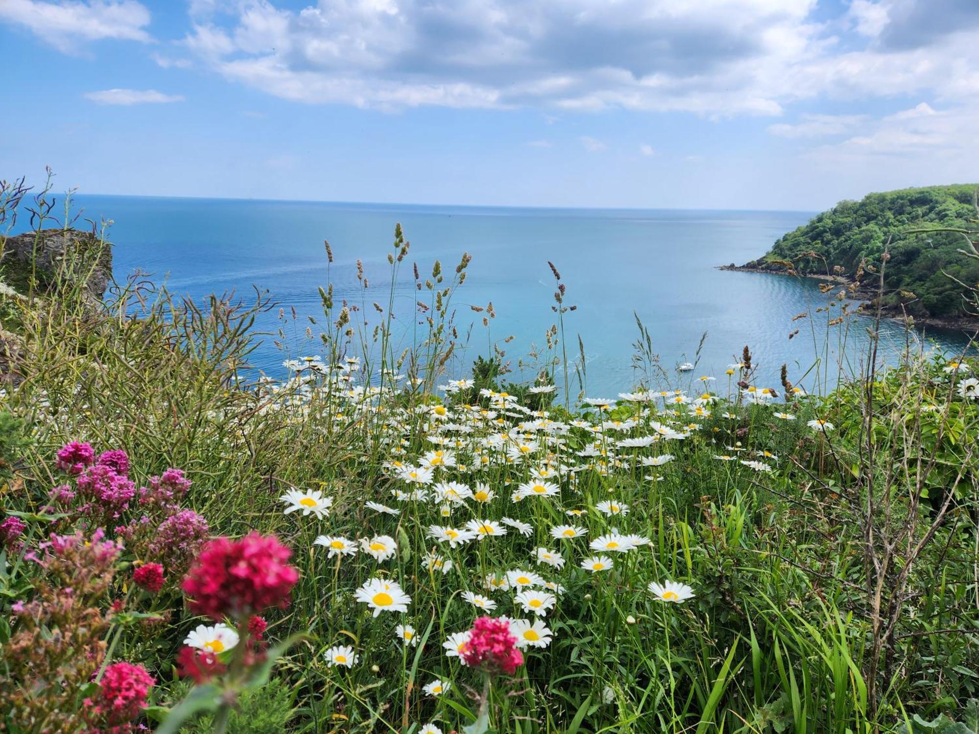 Rose Court Holiday Apartments Torquay Εξωτερικό φωτογραφία