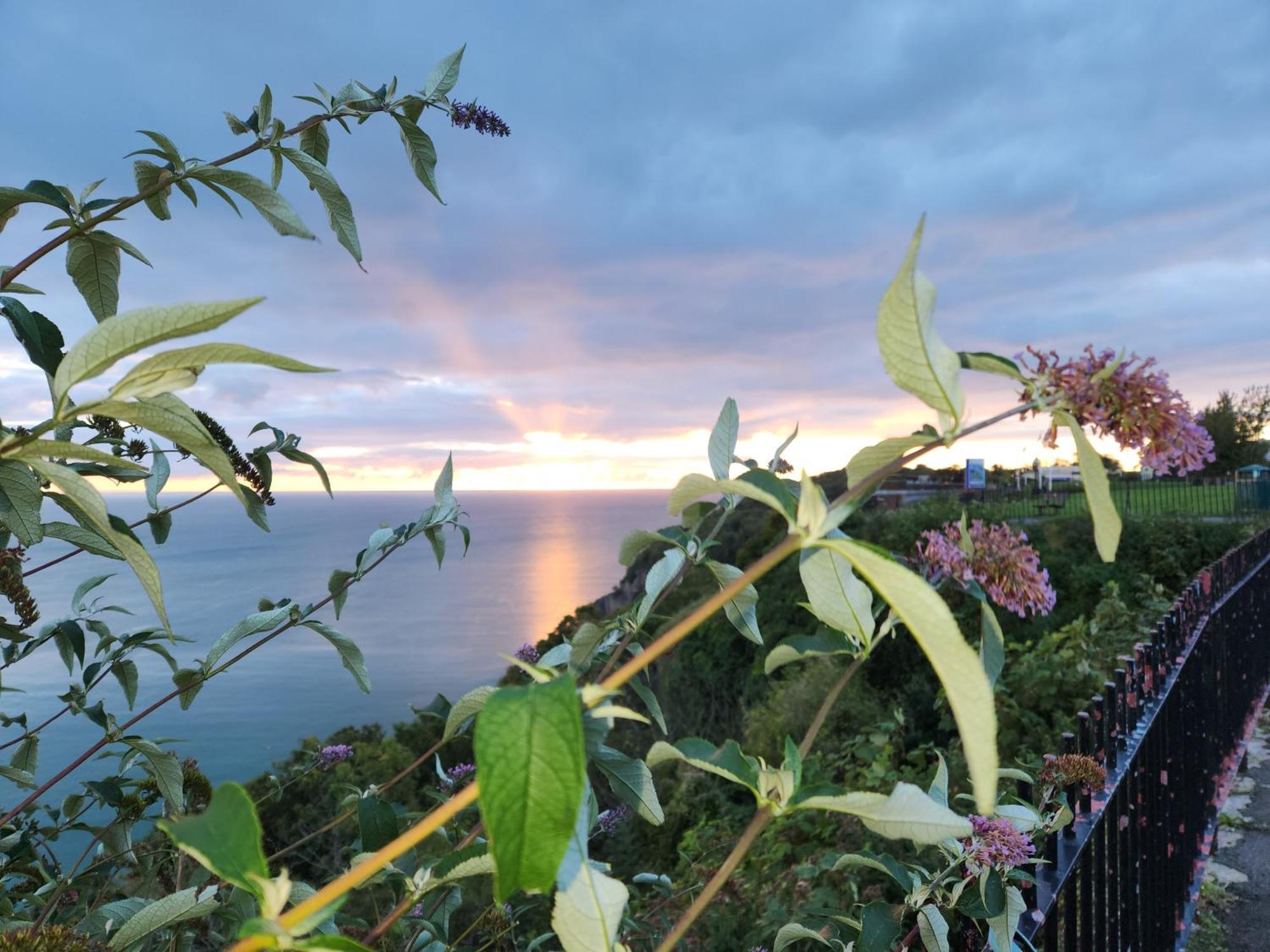 Rose Court Holiday Apartments Torquay Εξωτερικό φωτογραφία