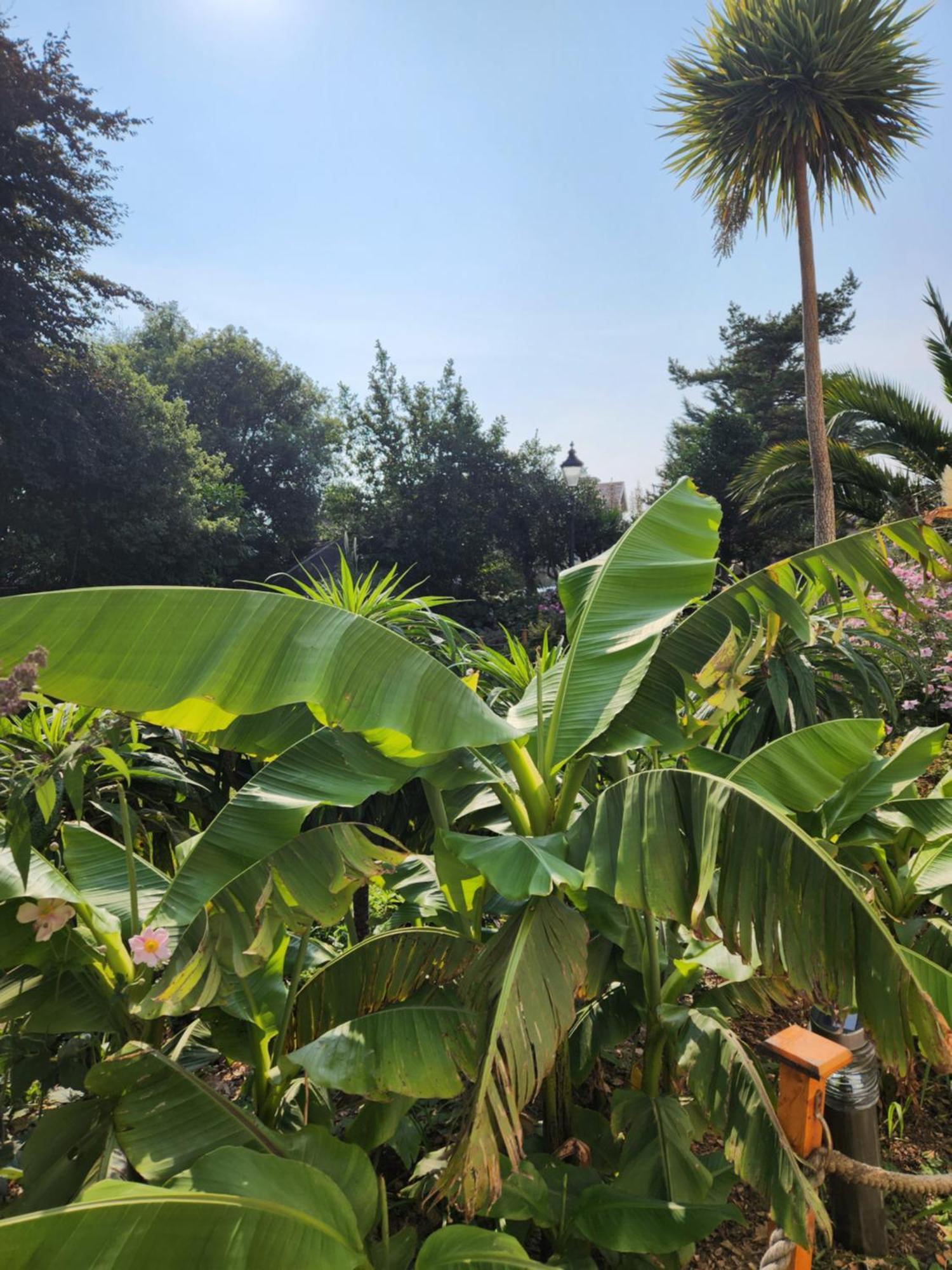 Rose Court Holiday Apartments Torquay Εξωτερικό φωτογραφία